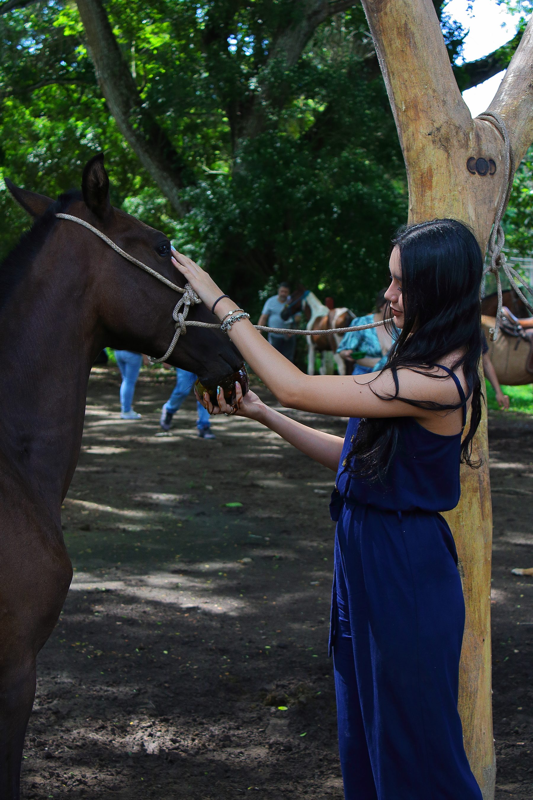 Cabalgata en el entorno campestre